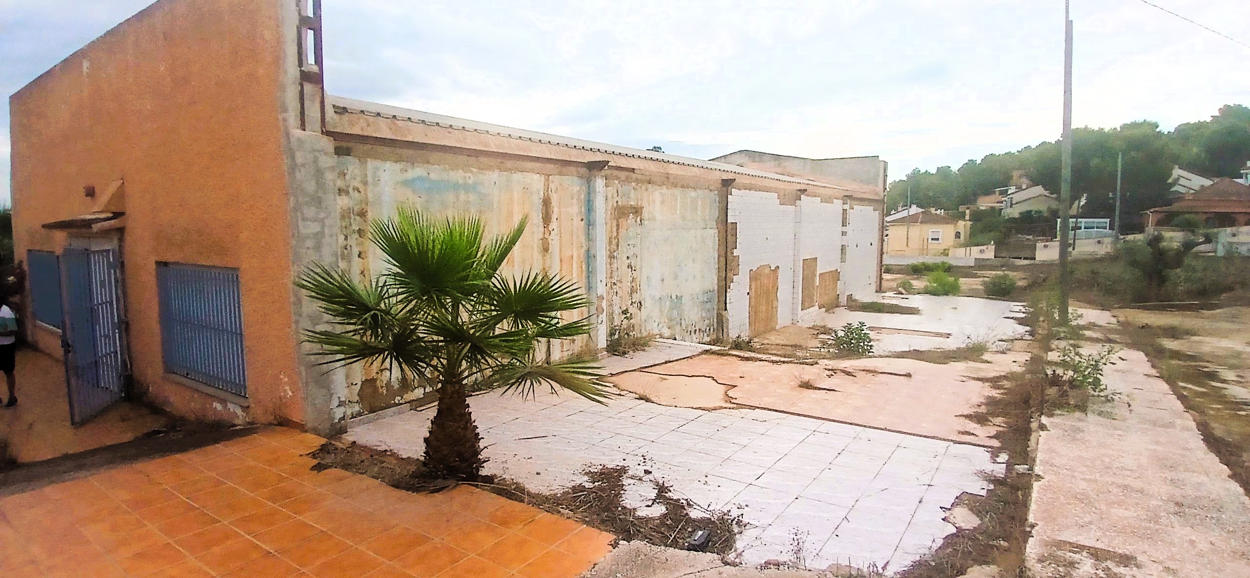 Alquiler_parcela_3.600_m2,_Nave_220_m2_Jacarilla